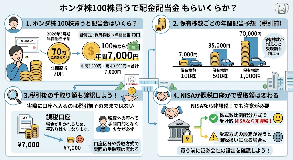 ホンダ株を100株買うと配当金はいくらもらえる?