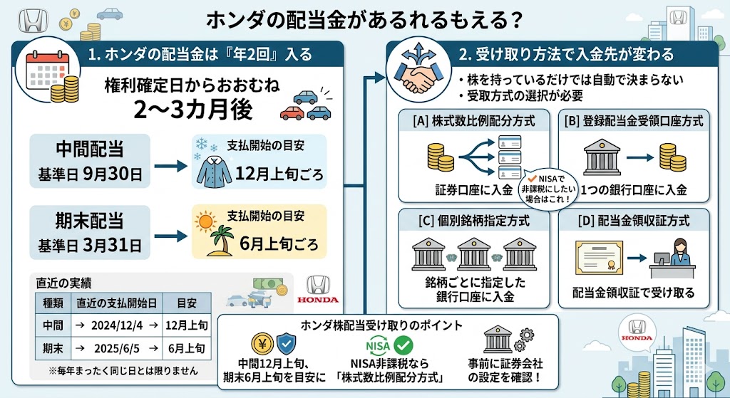 ホンダの配当金はいつもらえる?
