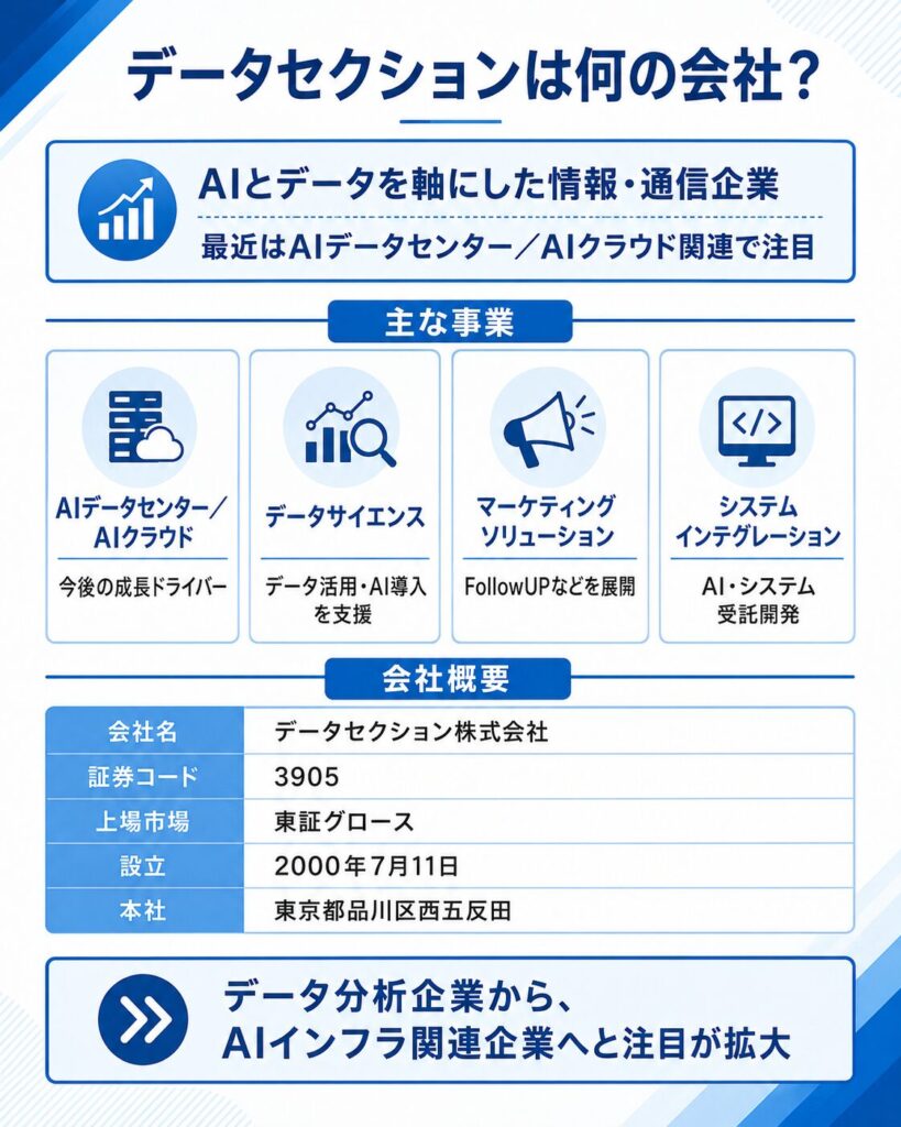 データセクションは何の会社？